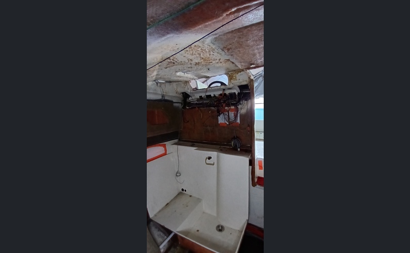 Bayliner 2550 Cierra Sunbridge-kuva-2